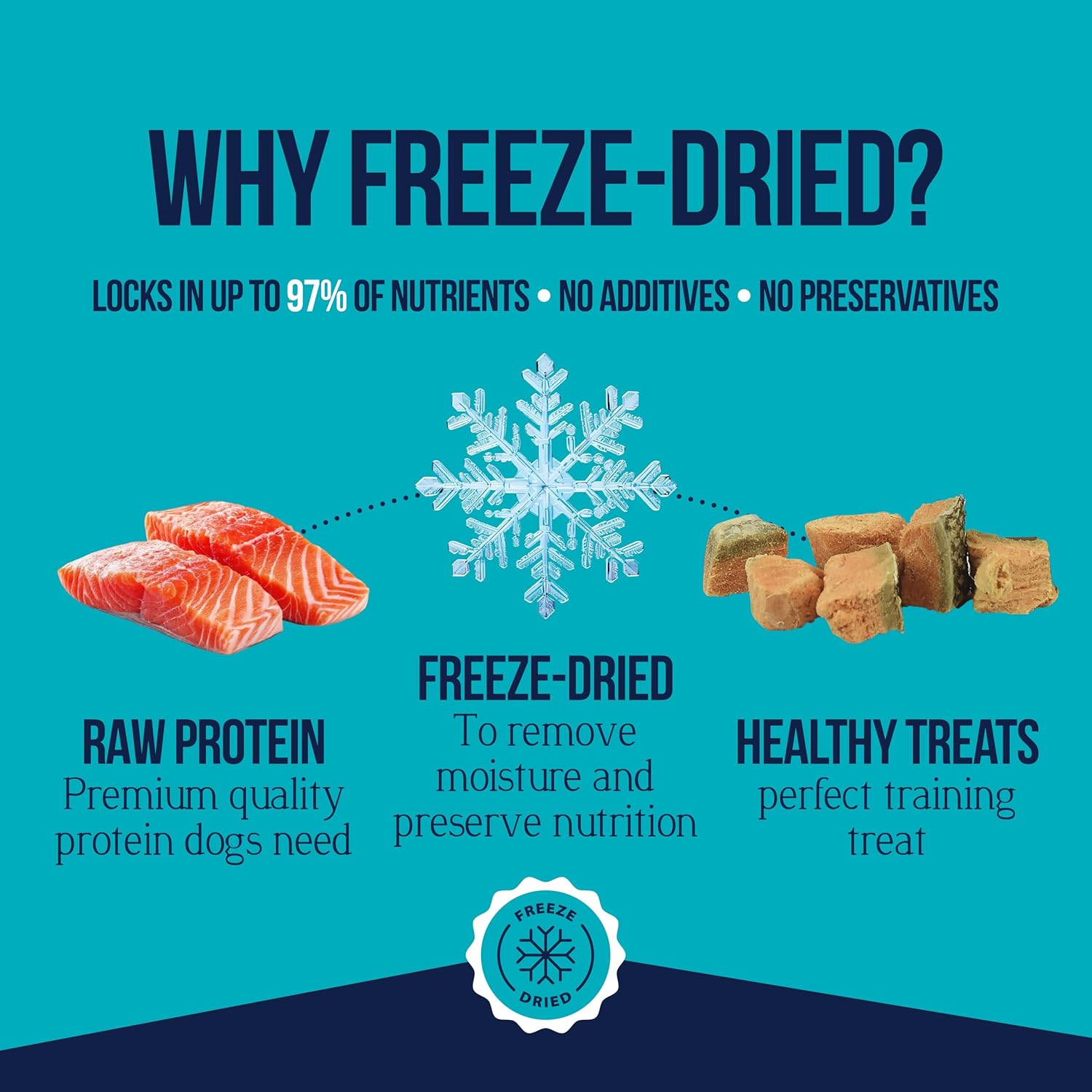 Stewart Wild Salmon Dog Treats, 9.5 oz, ~190 Pieces, Freeze Dried Raw, Single Ingredient, 65% Protein Training Treats or Meal Topper in a Resealable Tub, Grain Free, Gluten Free