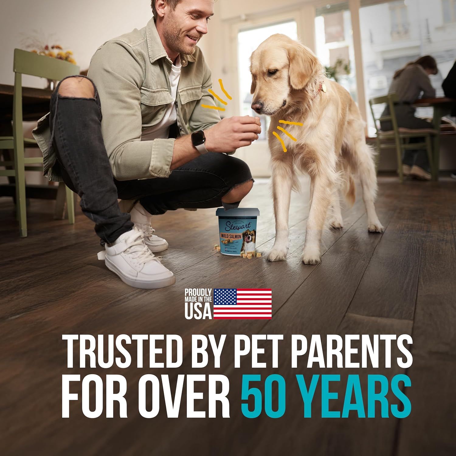 Stewart Wild Salmon Dog Treats, 9.5 oz, ~190 Pieces, Freeze Dried Raw, Single Ingredient, 65% Protein Training Treats or Meal Topper in a Resealable Tub, Grain Free, Gluten Free